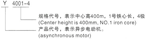 西安泰富西玛Y系列(H355-1000)高压YJTG-315S-8A/55KW三相异步电机型号说明