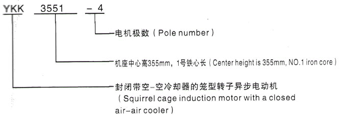 YKK系列(H355-1000)高压YJTG-315S-8A/55KW三相异步电机西安泰富西玛电机型号说明