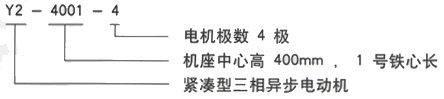 YR系列(H355-1000)高压YJTG-315S-8A/55KW三相异步电机西安西玛电机型号说明